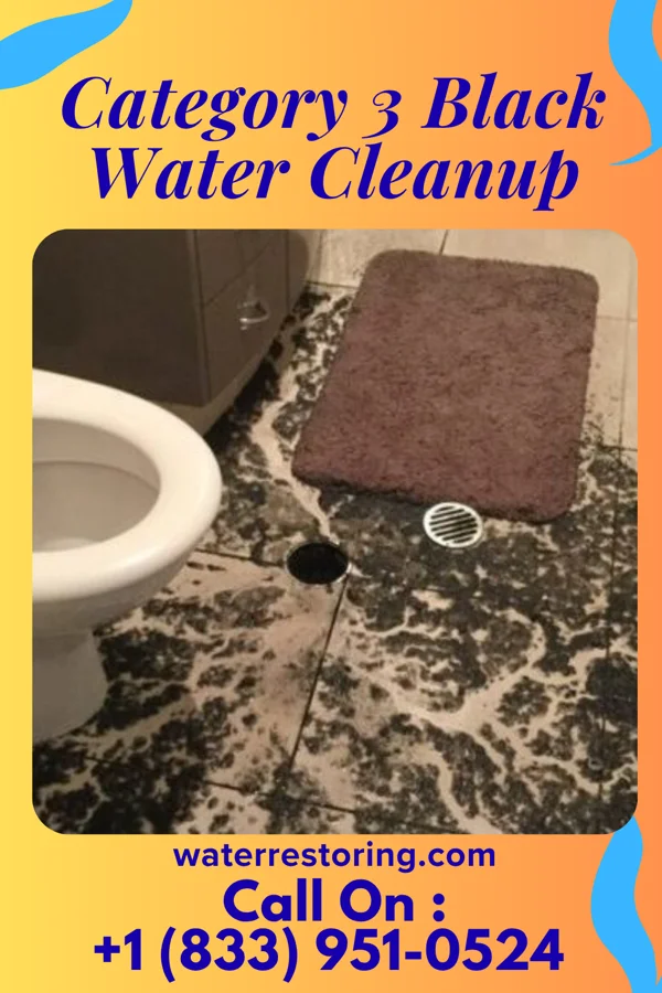 Category 3 Black Water Cleanup in Garrett, PA