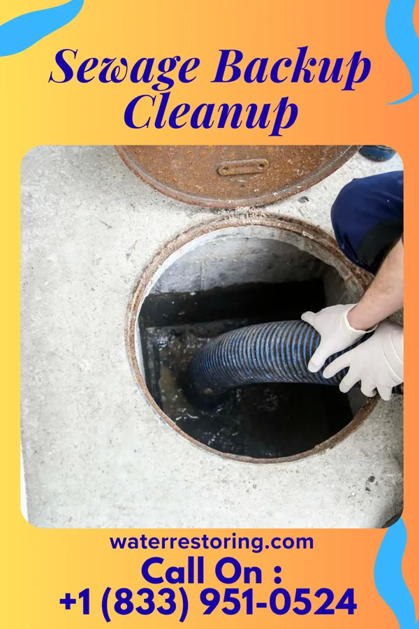 Sewage Backup Cleanup in Garrett, PA
