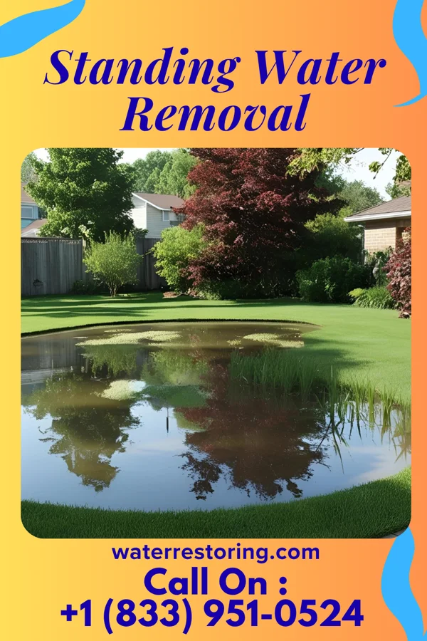 Standing Water Removal in Garrett, PA